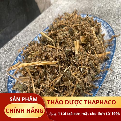 Bảo quản cây dền gai khô đúng cách để giữ nguyên chất lượng