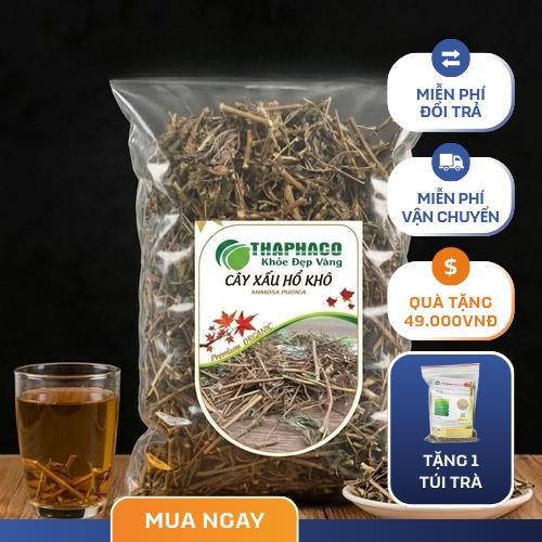 Cây xấu hổ tươi tự nhiên dùng làm thảo dược