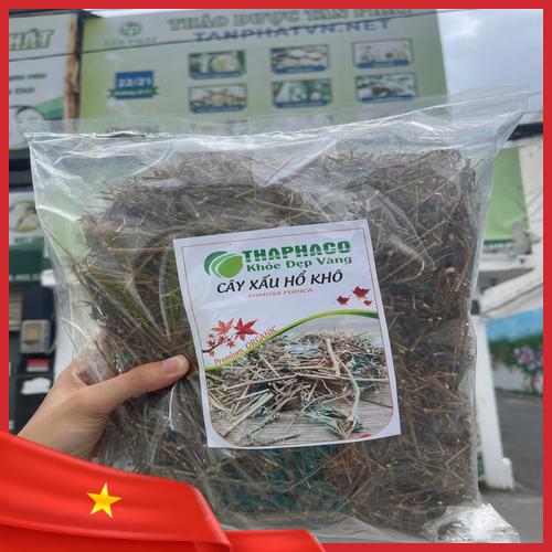 Dược liệu cây xấu hổ khô chuẩn chất lượng