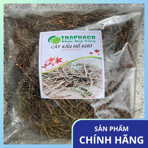Cách phân biệt và chọn mua cây xấu hổ khô an toàn