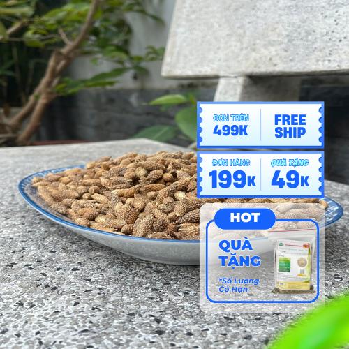 Đặc điểm nhận dạng quả Ké Đầu Ngựa khô