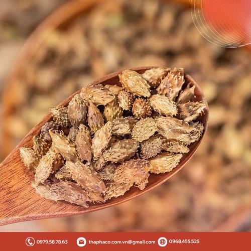Bảo quản Ké Đầu Ngựa khô đúng cách