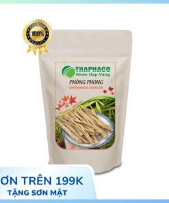 Phòng Phong Khô Thaphaco – Hỗ Trợ Giảm Đau Xương Khớp