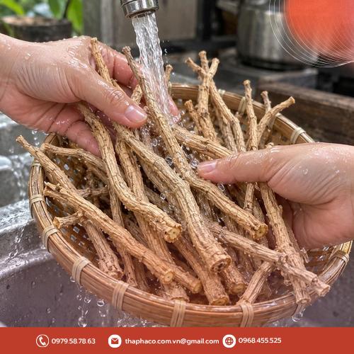 Rễ cây phòng phong dạng cọng dài nguyên bản