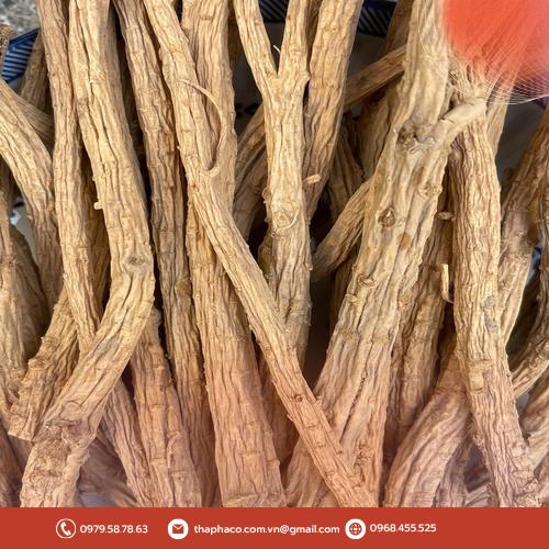 Quy trình đóng gói phòng phong khô sạch sẽ và an toàn