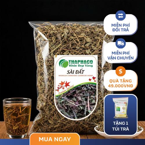 Tổng quan về cây sài đất tự nhiên