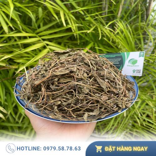 Kiểm tra độ đậm đặc của nước sài đất khô