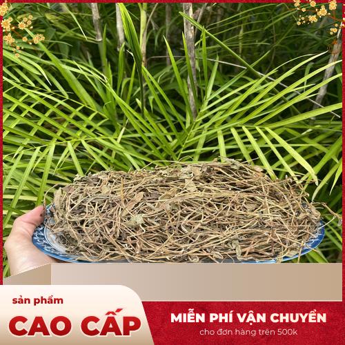 Công dụng hỗ trợ sức khỏe của sài đất