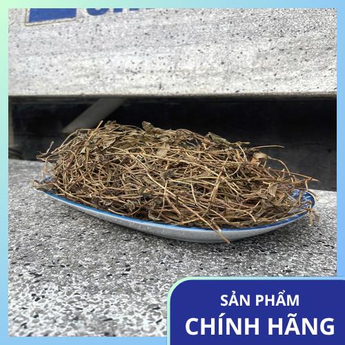 Sản phẩm sài đất khô chất lượng tại THAPHACO